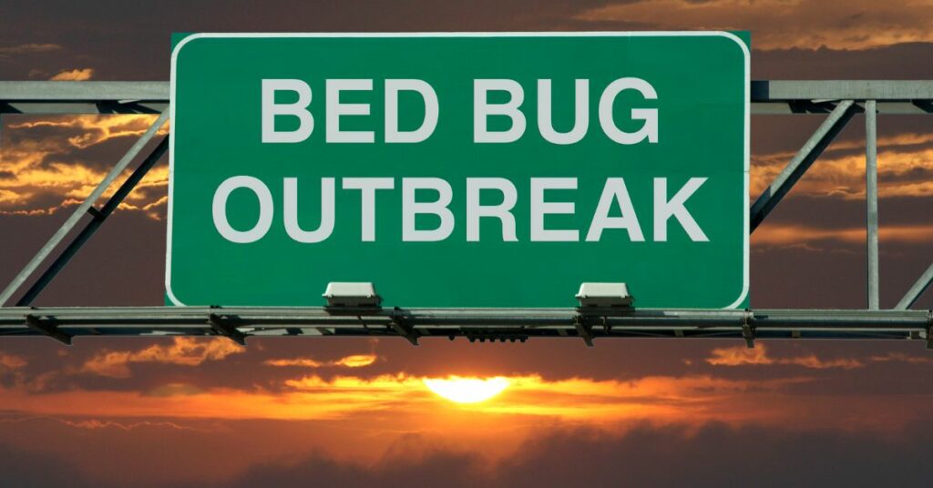 The image depicts a large billboard that displays the alarming message, "Bed Bug Outbreak."