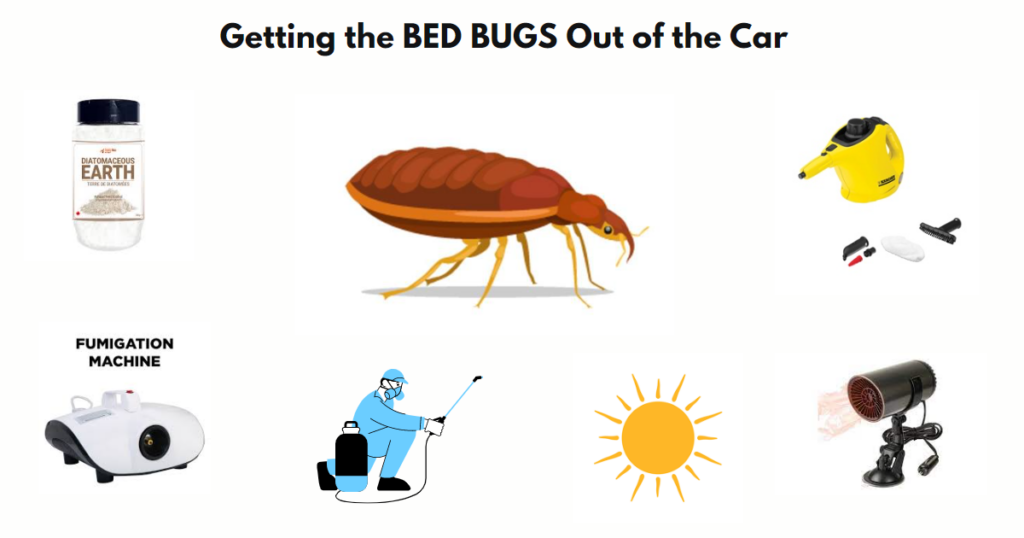 Components used for eliminating bed bugs from a car are showcased in this whiteboard image.