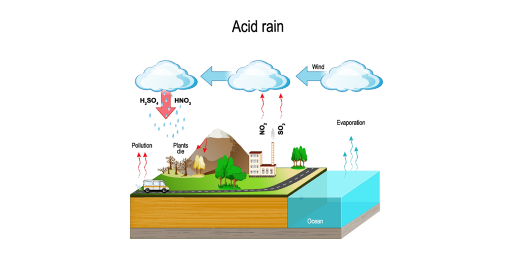 This informative acid rain infographic provides a visual representation of how acid rain affects cars. 