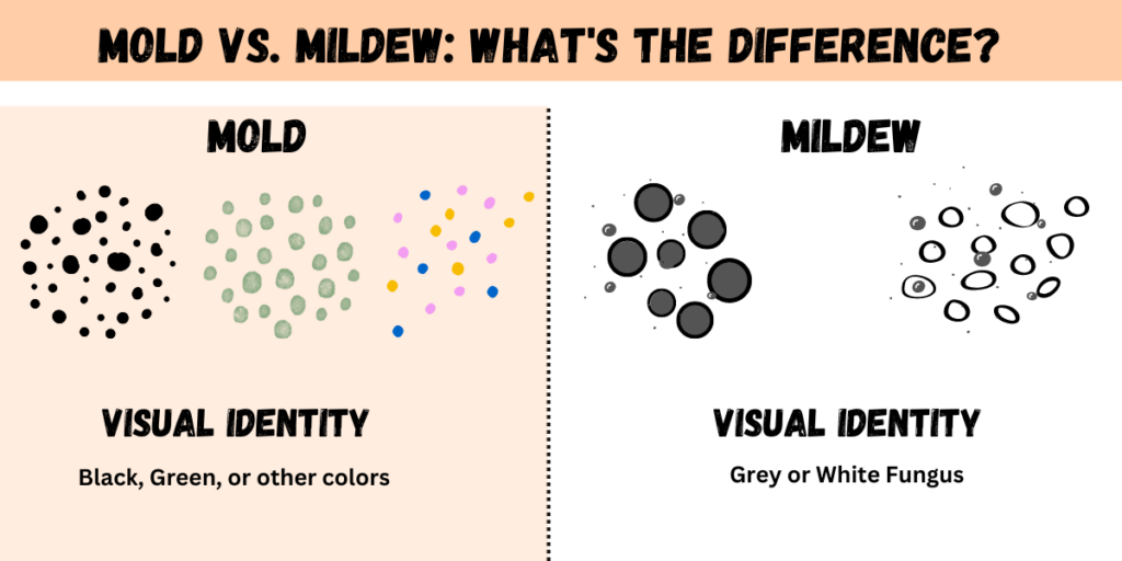 Graph of an in-depth comparison of the distinction between mold and mildew growth on a Jeep Wrangler's soft top.