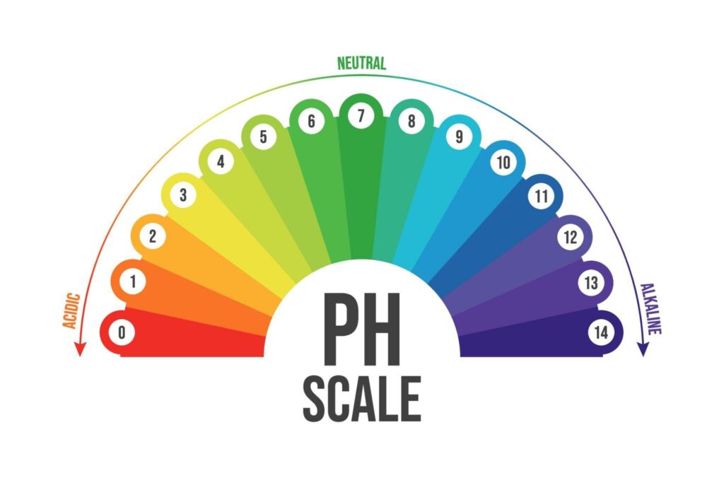 Vector Illustration of PH Scale.